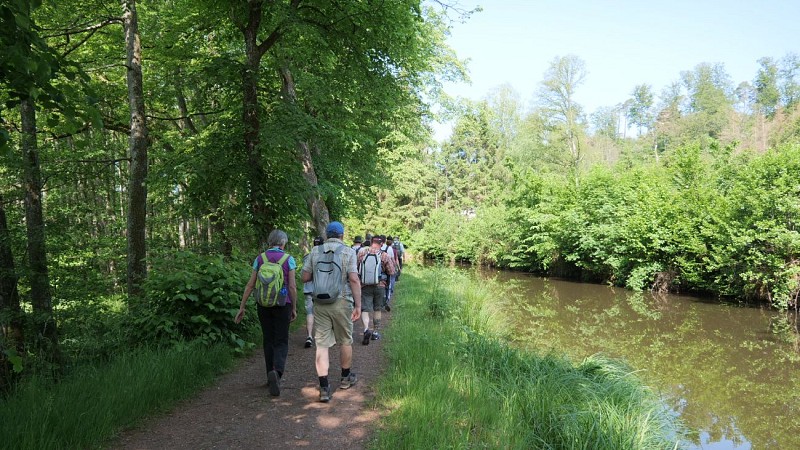 Le long du cours d'eau de la Zinsel du Nord