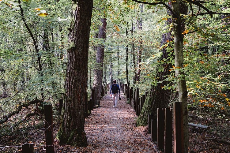 Autour des blocs de combats du Simserhof