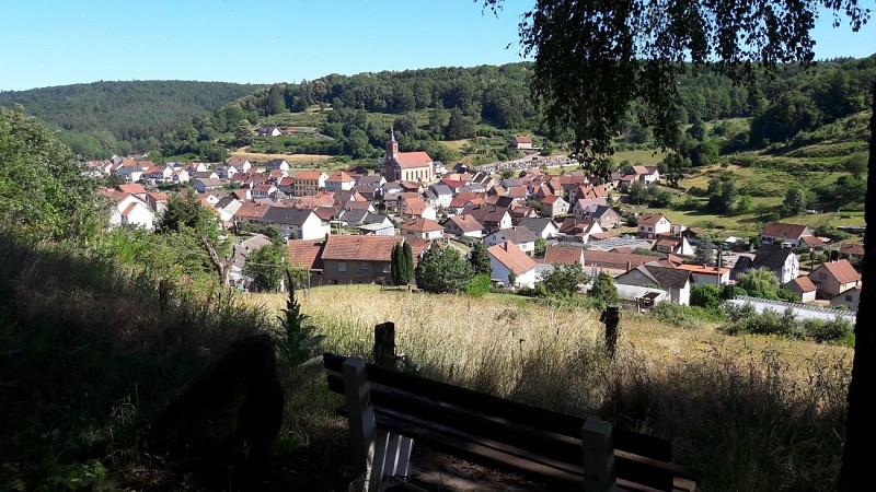 Sentier d'excellence 7 - sur les traces des sabotiers