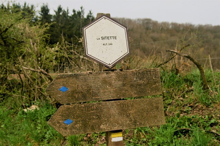 UNESCO Global Geopark Famenne-Ardenne : Géobalade of Nassogne