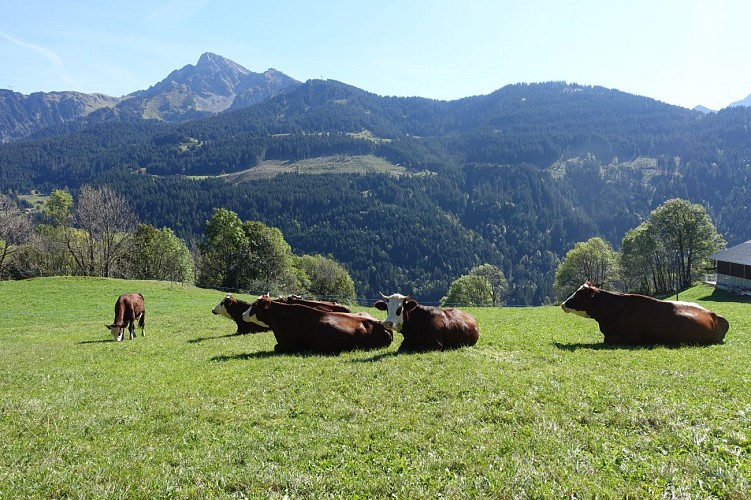 Farms and granaries in Abondance