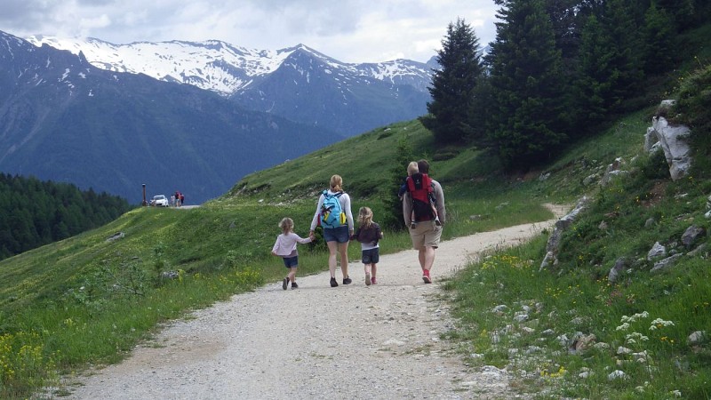 Easy-going walk: Vallon de l'Orgère
