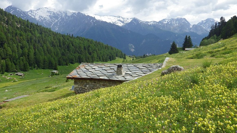 Paysage de l'Orgère