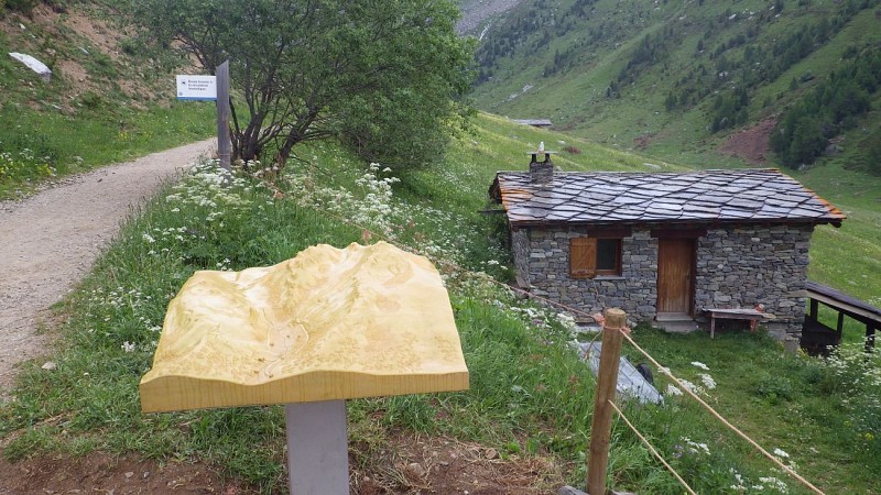 Comfort wandeling: Vallon de l'Orgère