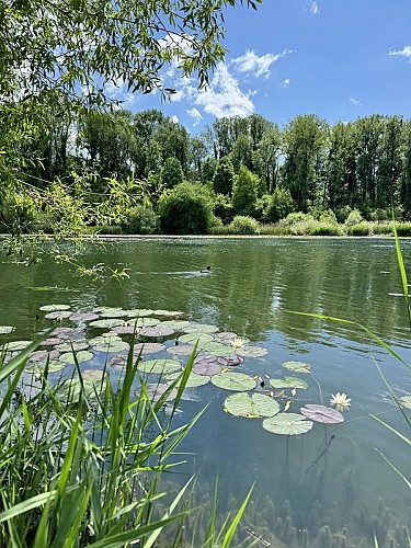 Balade pédestre - Tour du lac du Môle