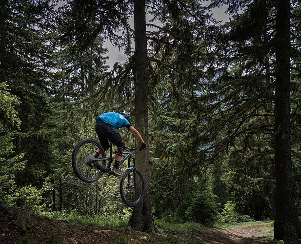 Mountain biking route – Forêt de Miollet_Champagny-en-Vanoise