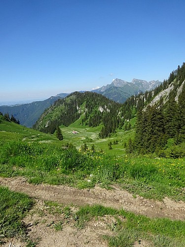 Circuit du Mont Ouzon