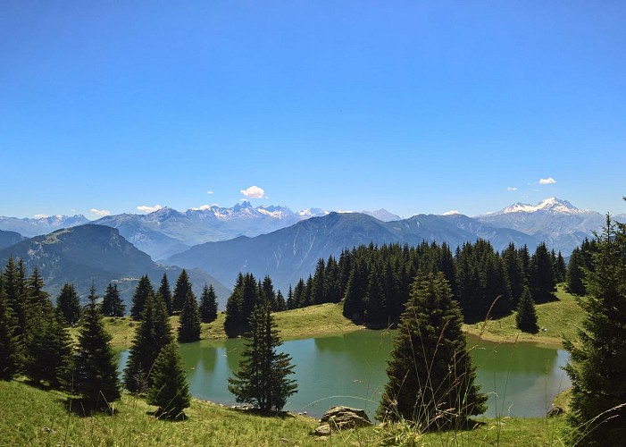 From the Madeleine to the "Grande Léchère" through woods (4)