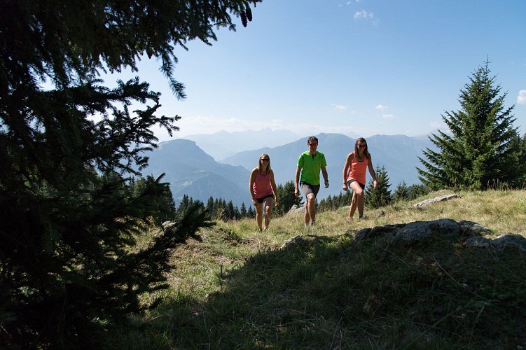 From the Madeleine to the "Grande Léchère" through woods (4)