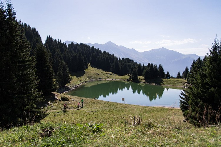 From the Madeleine to the "Grande Léchère" through woods (4)