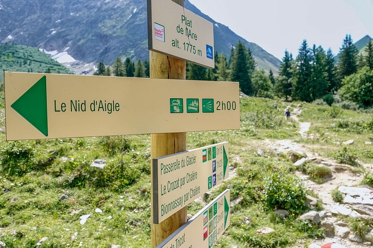 Le Nid d'Aigle from Bionnassay