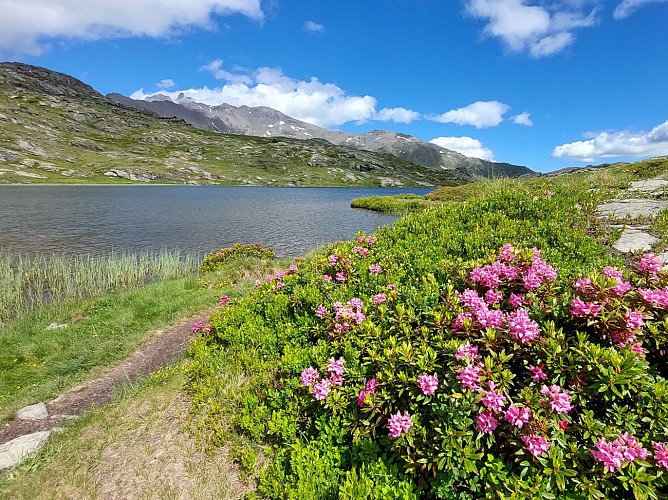 Il Lago Bianco