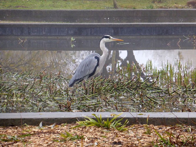 Dalla Stazione "Parc Lagravère" a La Défense passando per Nanterre