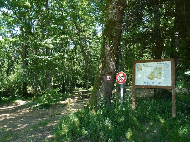 Bois de Sauvagnon Tourisme en Nord Béarn cph SMT NB