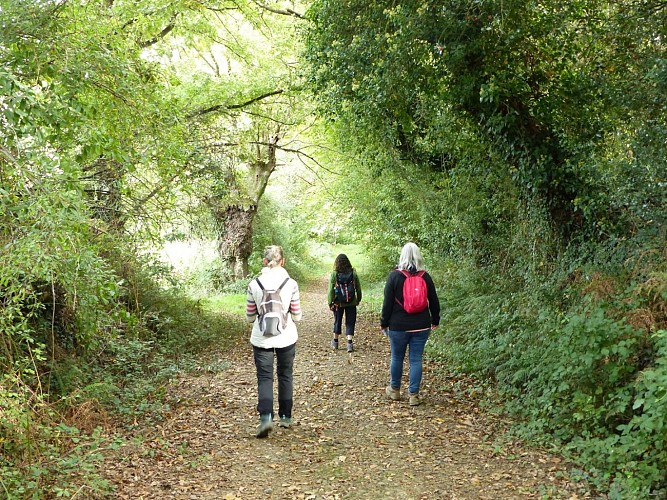 Sauvagnon randonnée dans le bois de Sauvagnon @ CBM oct 2025