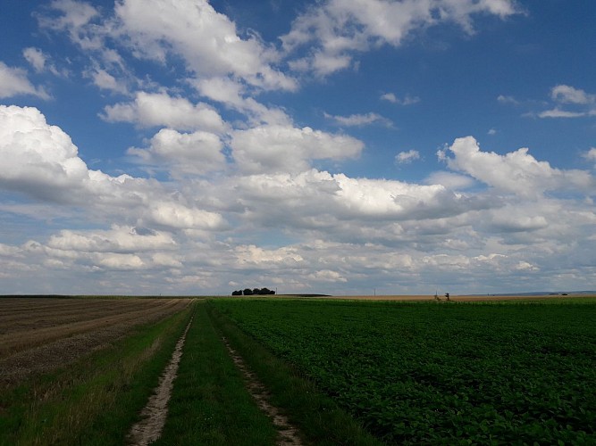 Des hauts et des bas