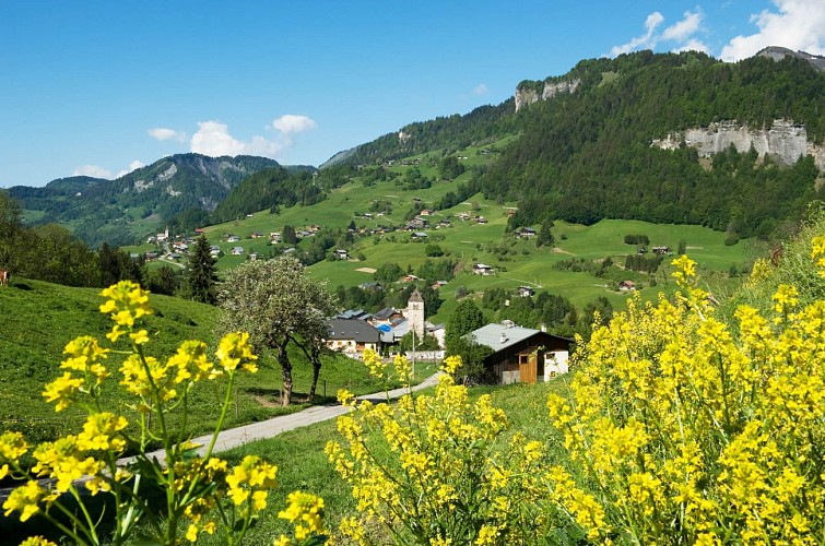 Cycling loop: Balcons de l'Arly