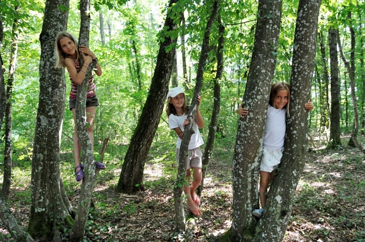 Cruseilles - Villy-le-Bouveret hiking trail