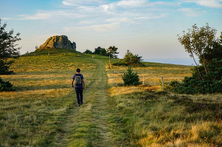 Baracuchet, aux confins de l'Auvergne - PR 11_Bard