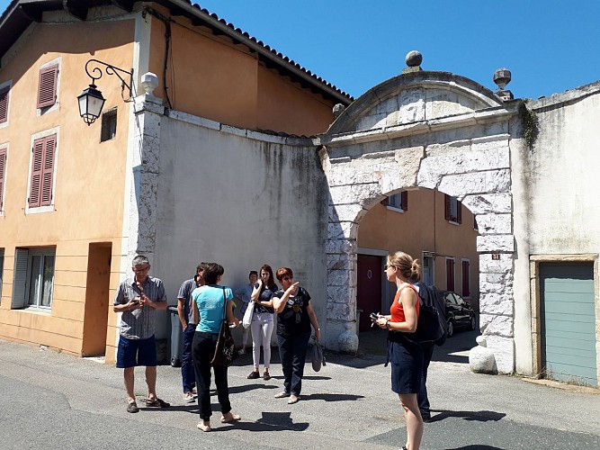Hiking between the Rhône and the vineyards: Tupin, Condrieu, Semons