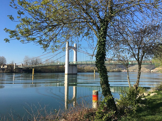 Circuit de randonnée entre le fleuve du Rhône et les vignobles