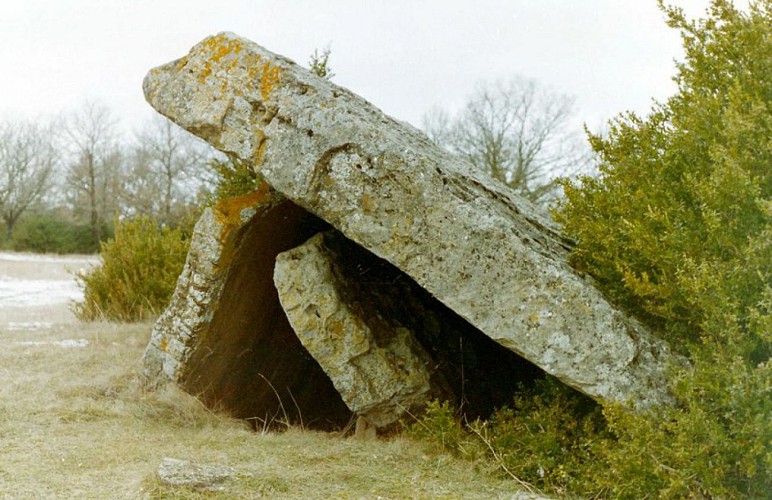 Dolmen de belle dimension