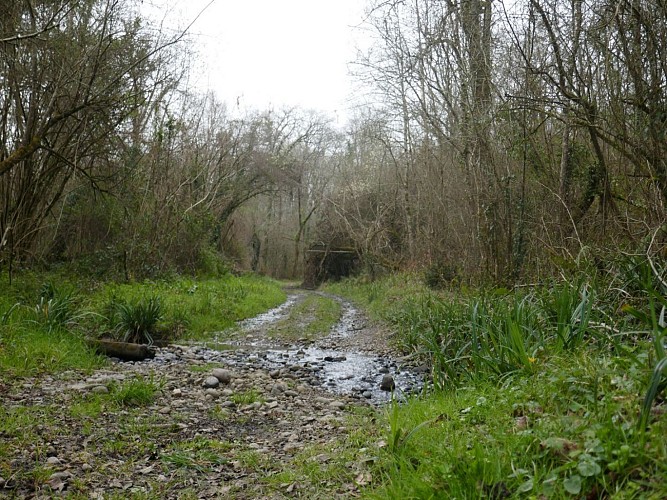 PR5 Poursiugues Aux confins Tursan février 22 crédit Tourisme Nord Béarn (32)