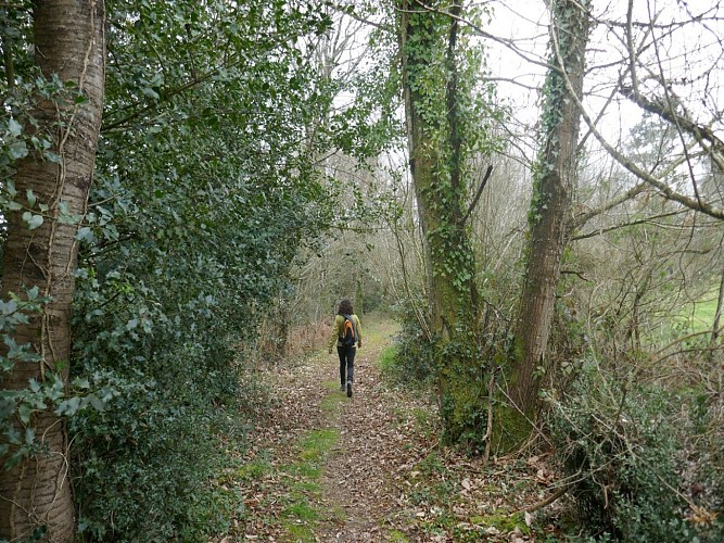 PR5 Poursiugues Aux confins Tursan février 22 crédit Tourisme Nord Béarn (37)