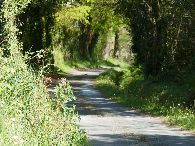 PR5 Poursiugues Aux confins de Tursan crédit Tourisme Nord Béarn (3)