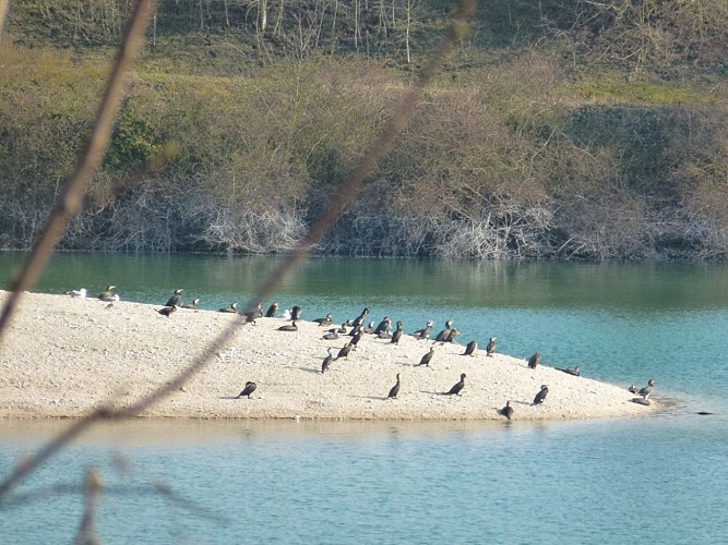 Avenue verte Paris – Londres, de Chatou à Conflans-Sainte-Honorine