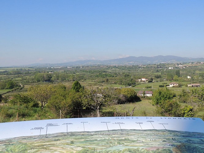 Rando Panorama " Les paysages de Montagny "