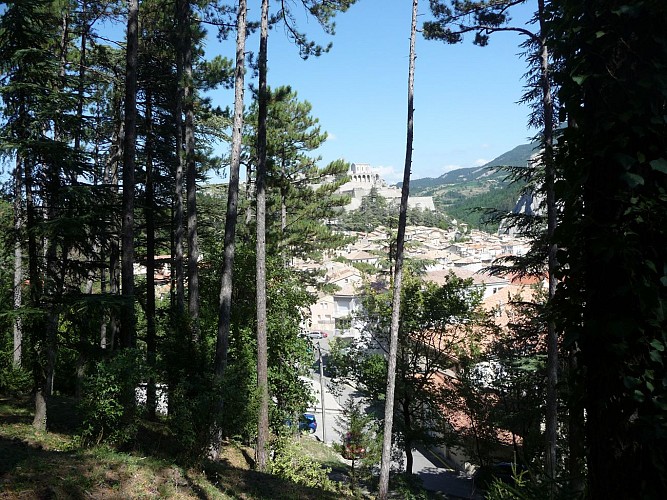 Hiking trail "Le Molard's botanic trail"