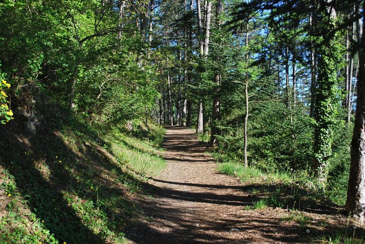 Hiking trail "Le Molard's botanic trail"