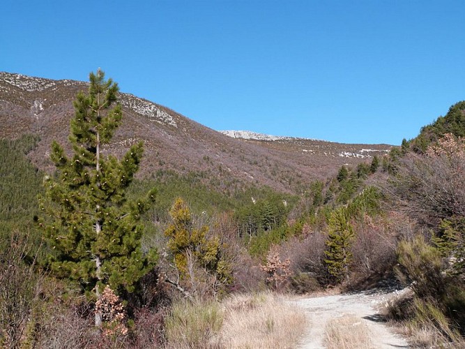Mountain bike trail "Vallon de Couzaut"