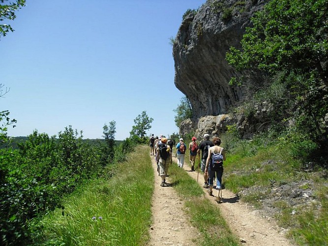 Sur le causse...