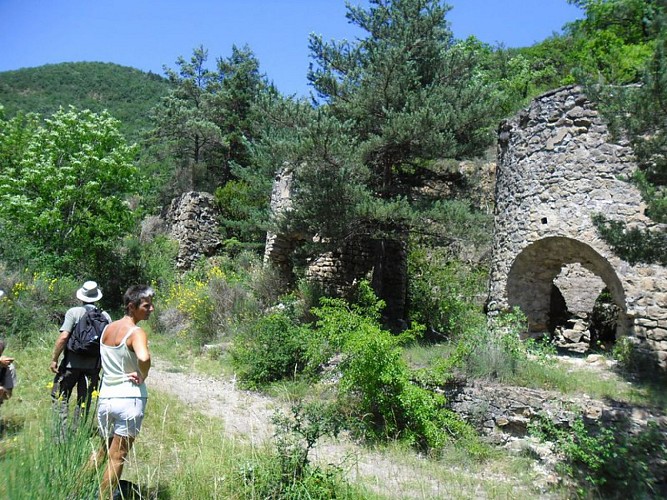 Les fours à calamines dans le ravin des Valettes