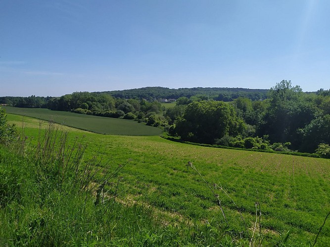 El valle del Zorro alrededor de Saint-Sulpice-de-Favières