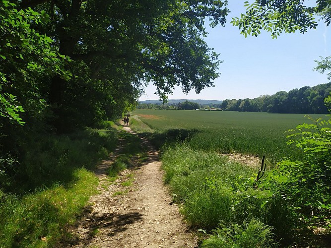 El valle del Zorro alrededor de Saint-Sulpice-de-Favières