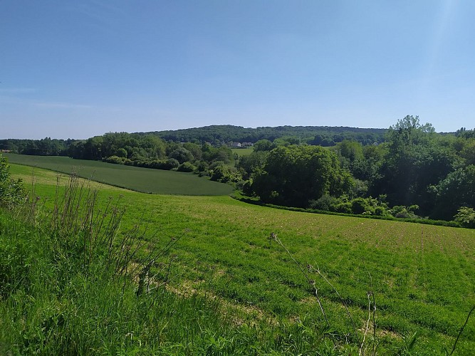 La valle della Volpe intorno a Saint-Sulpice-de-Favières