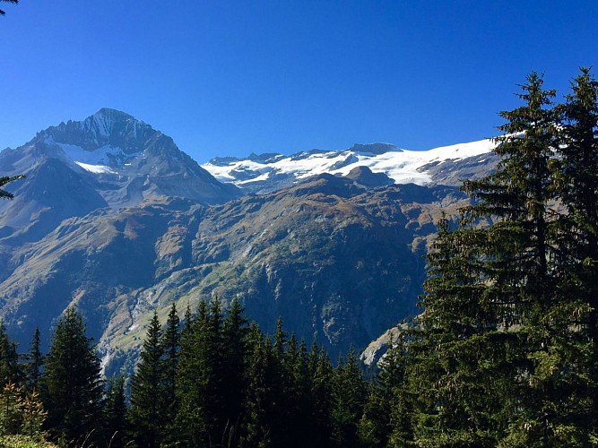 Le parc national de la Vanoise