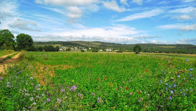 Sur le chemin, non loin des Liquisses...