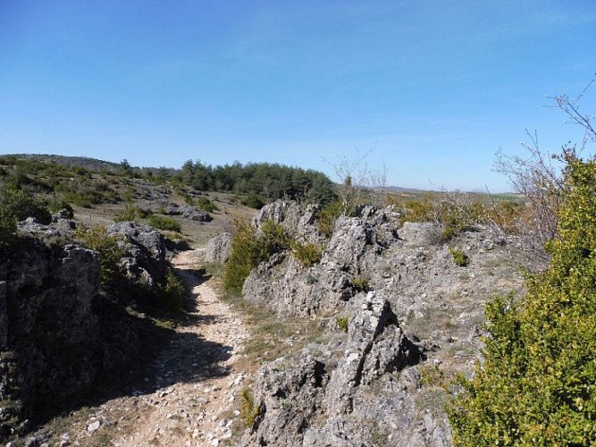 Sur le chemin vers La Salvetat