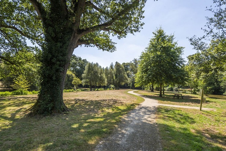 Audrenière
