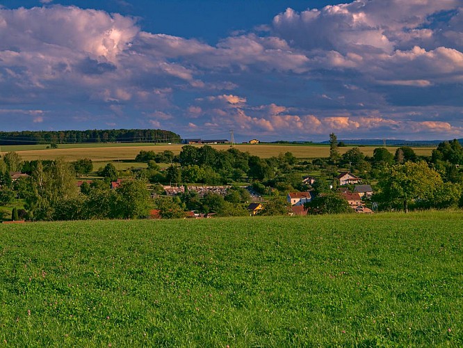 Vue depuis le haut du Petit Harzviller