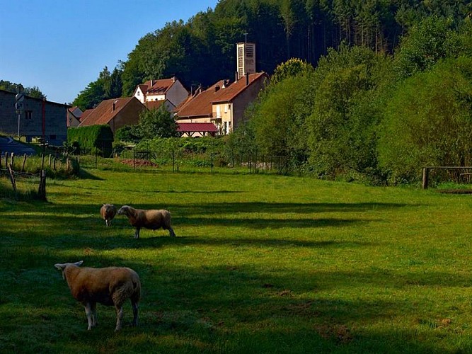 Village de Hanviller