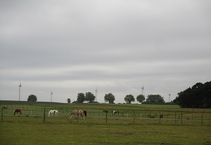De l'Ecorcheur à Franquenouille