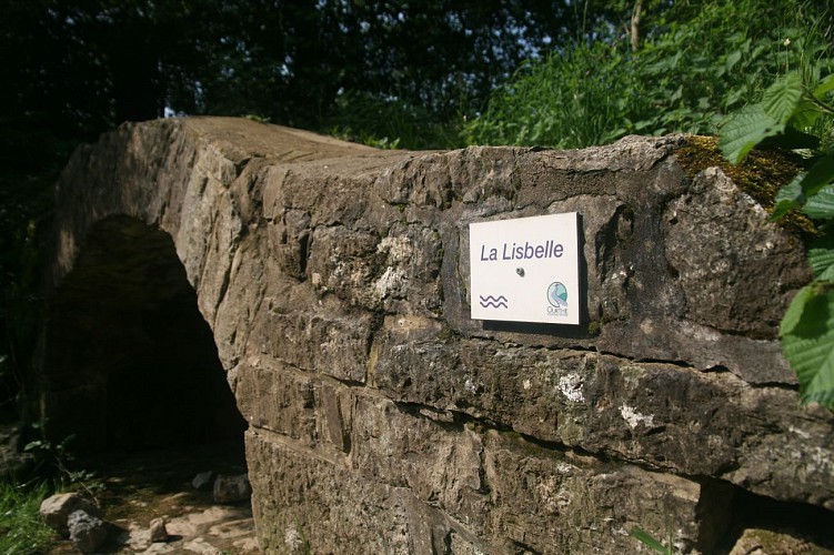 UNESCO Global Geopark Famenne-Ardenne: Geowanderung von Hotton