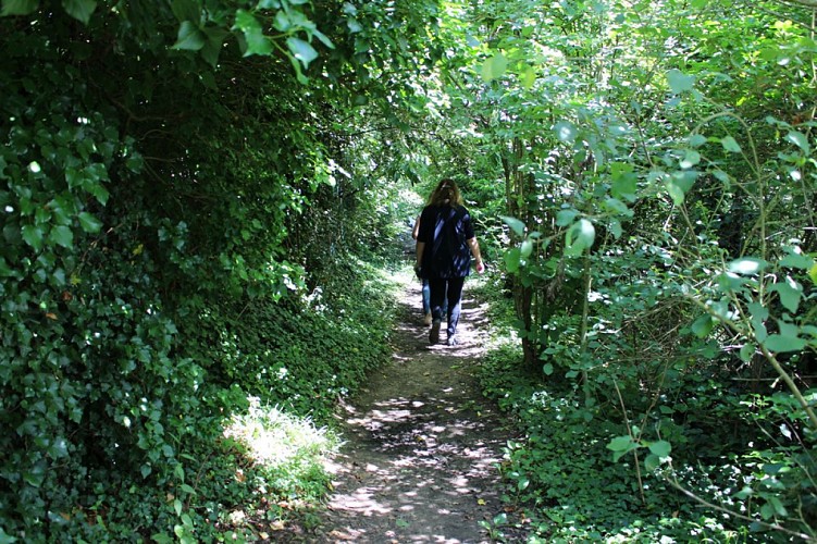 Auf Entdeckungstour der Fußwege von Mareil-Marly