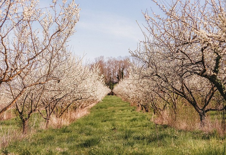 Route touristique - Des Usses aux Vergers_Cruseilles