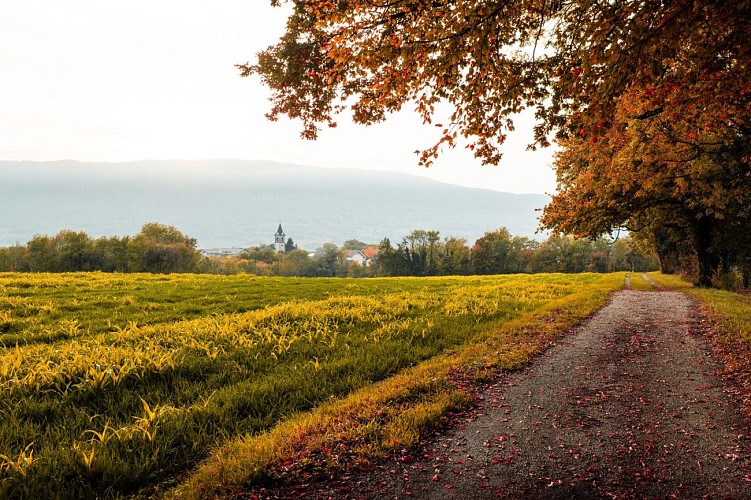Route touristique - Des Usses aux Vergers_Cruseilles